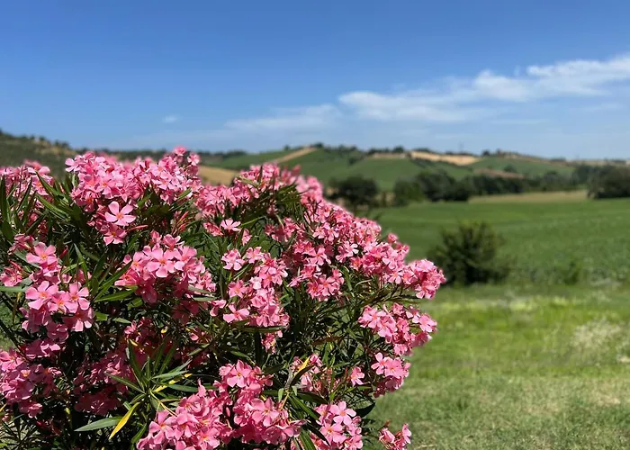 Casa Onda Senigallia