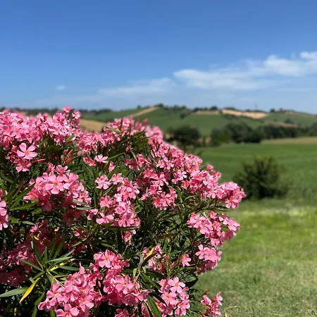 Casa Onda Senigallia