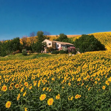 Casale Milleluci - Appartamento