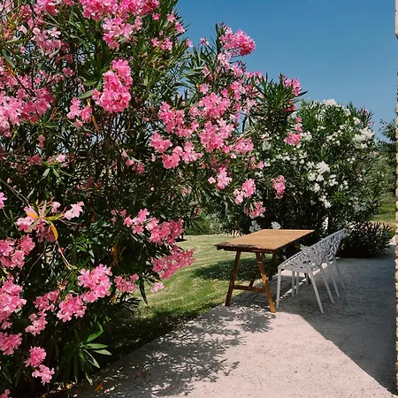 Casale Milleluci - *