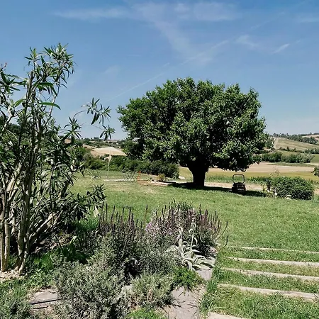 Casale Milleluci - Country House Апартаменты Сенигаллия