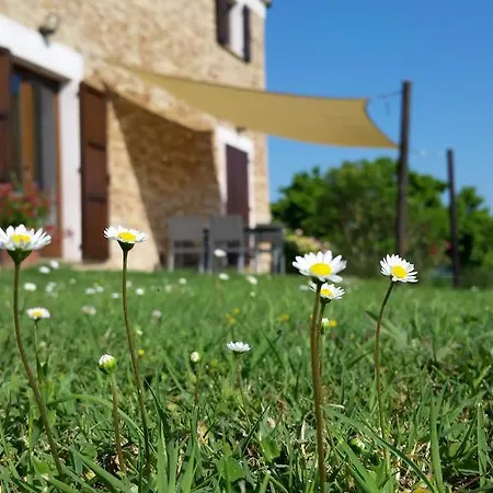 Casa Onda Apartment Senigallia