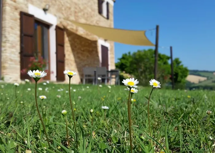 Casa Onda Apartment Senigallia